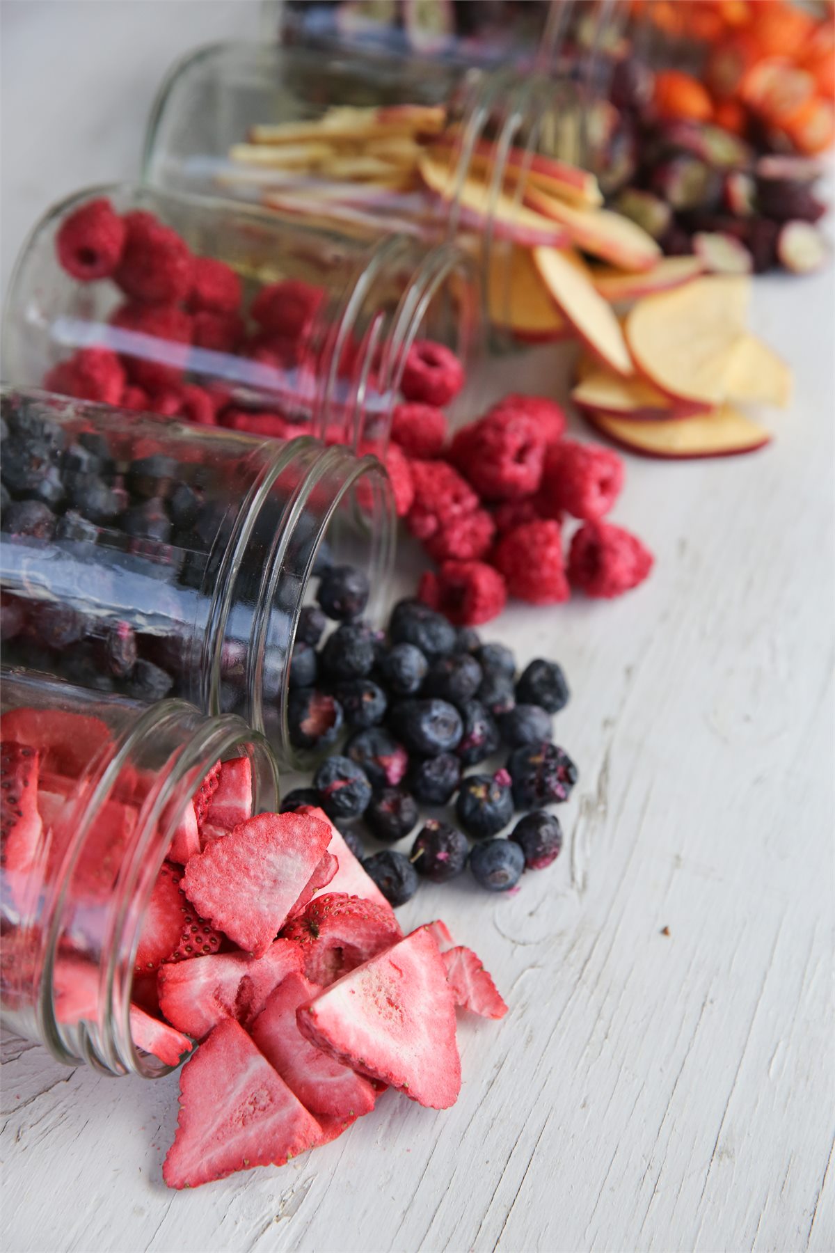Colourful freeze-dried foods showing recognisable shape and texture