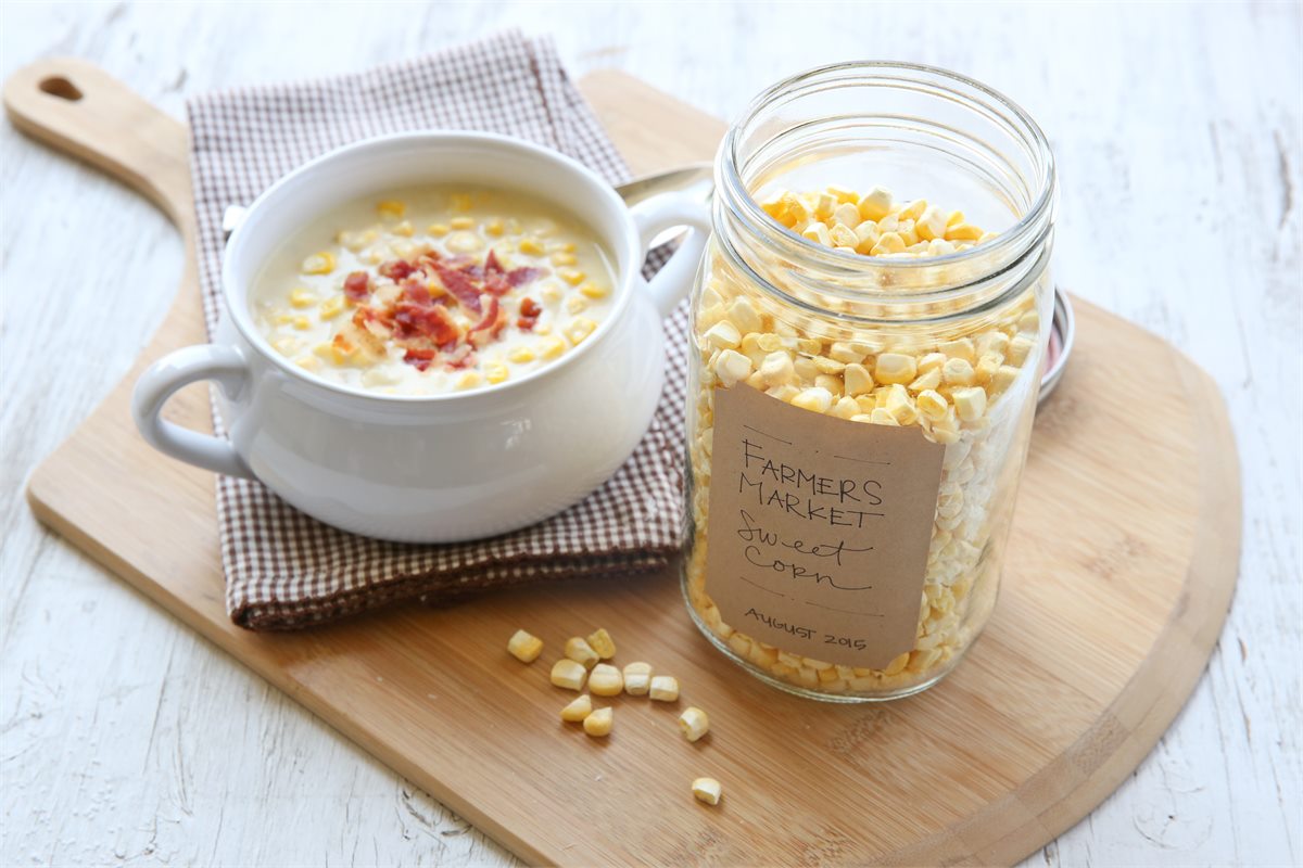 Versatile foods and ingredients freeze drying benefit
