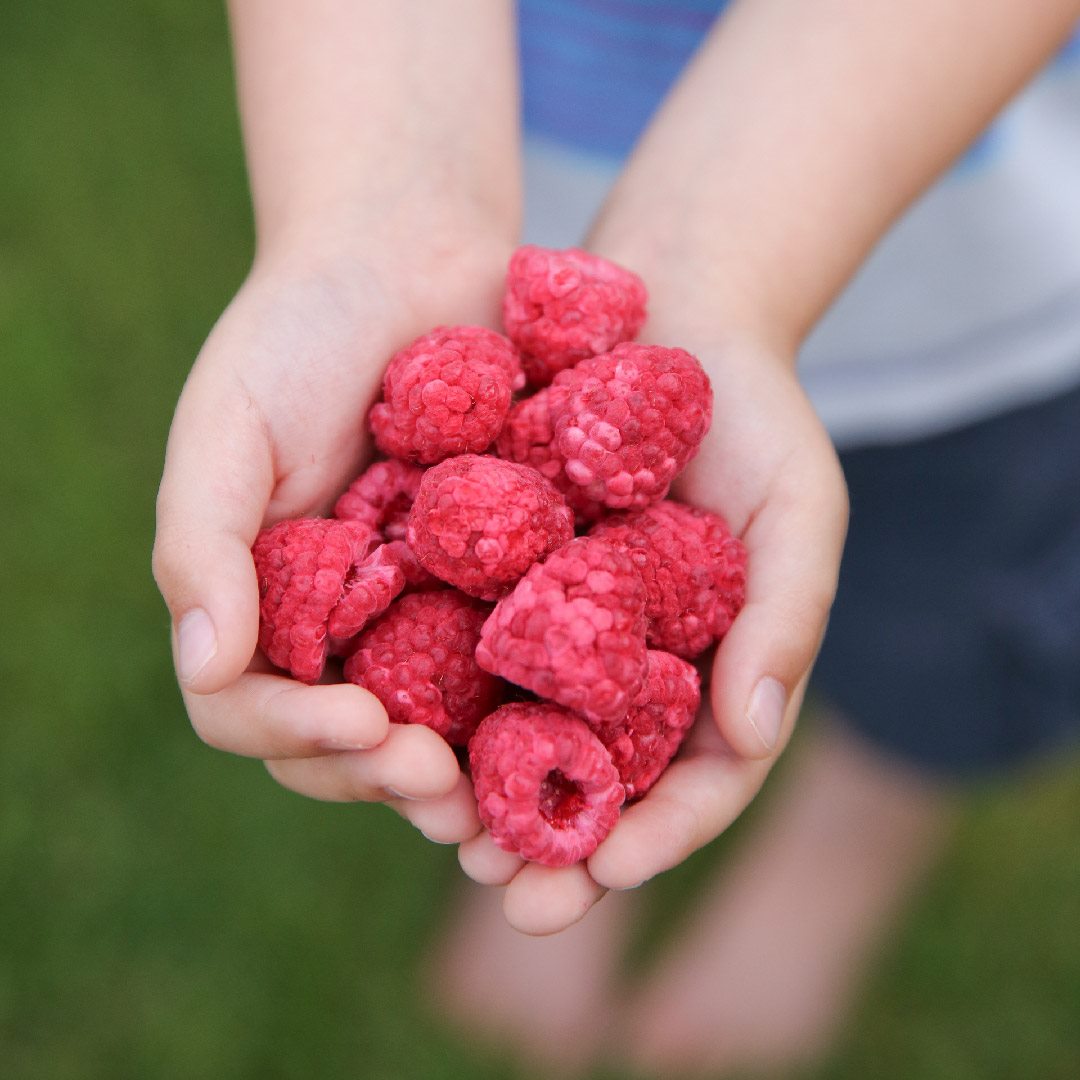 Garden produce