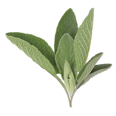 Sage