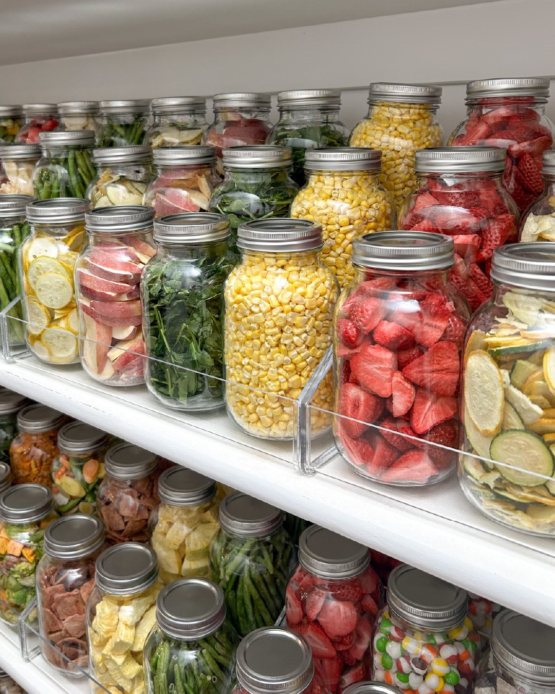 Colourful ingredients prepared and portioned for home food storage