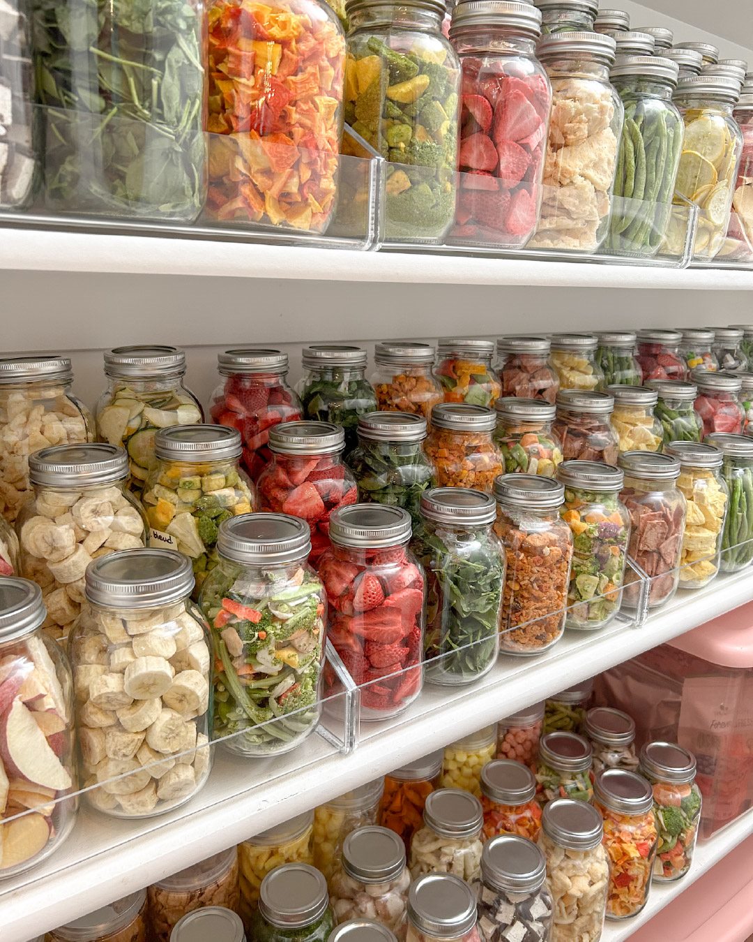 Rows of sealed freeze-dried foods ready for later use