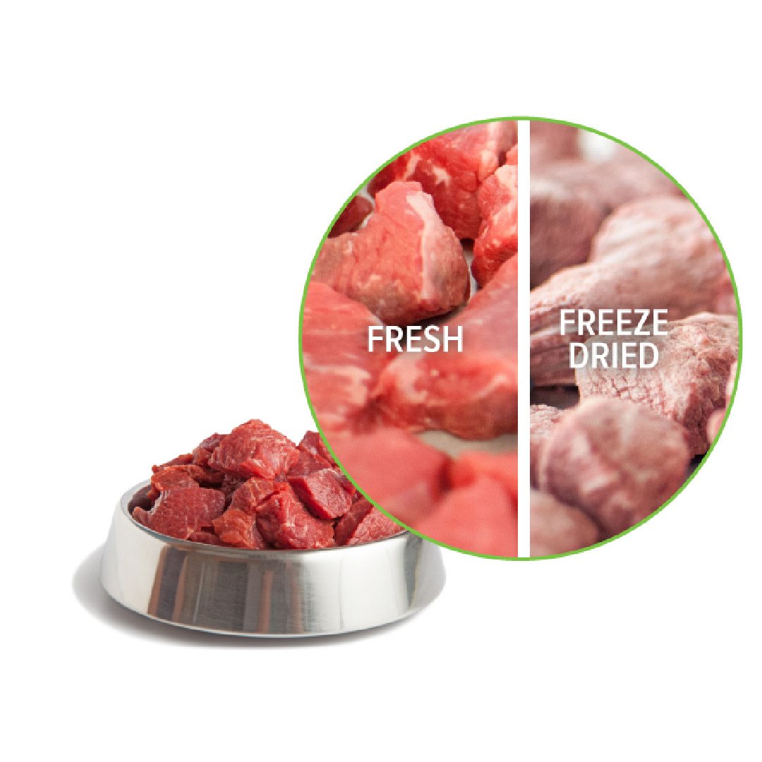 A pet owner preparing clearly labelled food portions