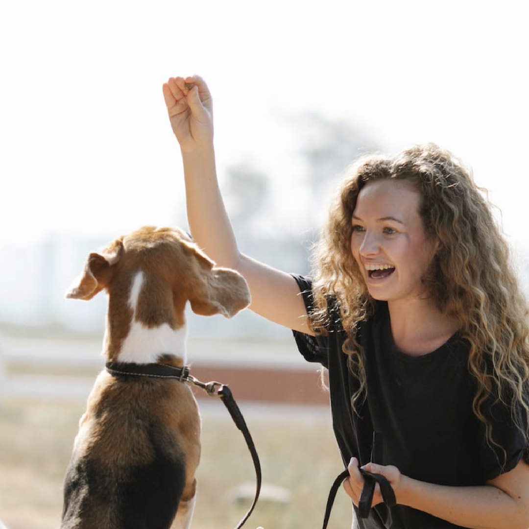 A complete dog and owner beside prepared pet treats